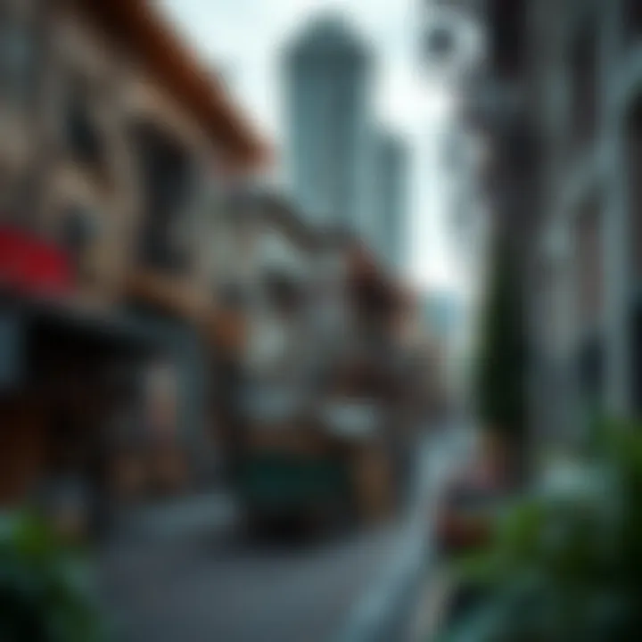 Cultural diversity represented in partitioned urban spaces