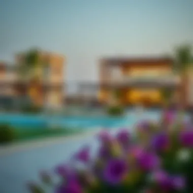 Nearby Amenities in Arabian Ranches 2 Visual of nearby amenities and facilities