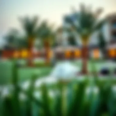 Community park in Warqa 2 highlighting lifestyle amenities